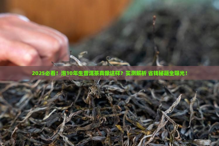 怎样泡10年生普洱茶