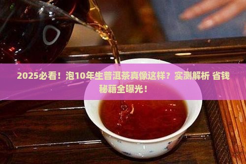 怎样泡10年生普洱茶
