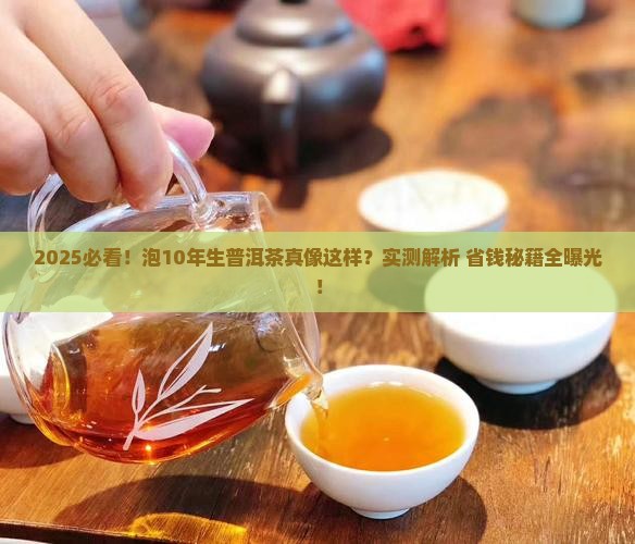 怎样泡10年生普洱茶