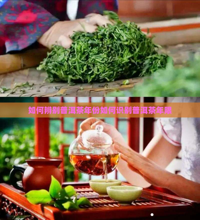如何识别普洱茶年限