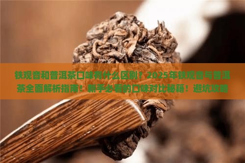 铁观音和普洱茶口味