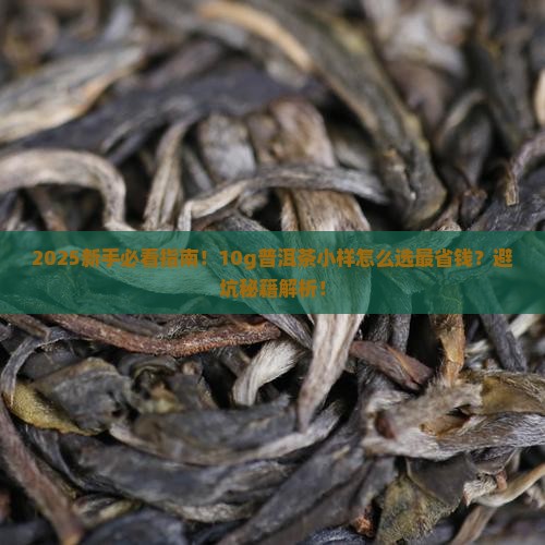 10g普洱茶小样