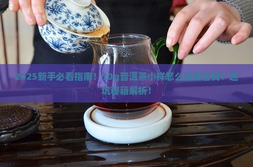 10g普洱茶小样