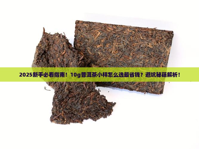 10g普洱茶小样