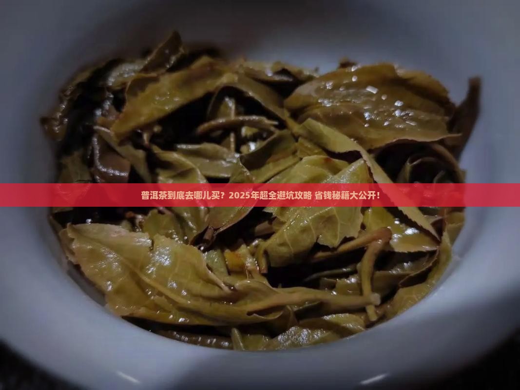 普洱在哪儿买普洱茶