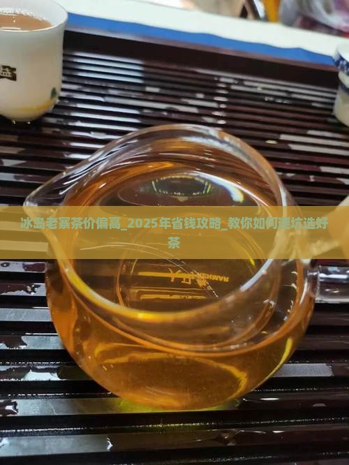 冰岛老寨茶价偏高