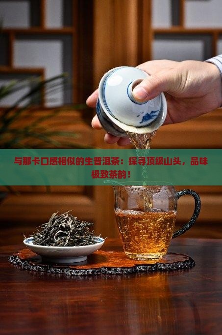 与那卡口感相似的生普洱茶