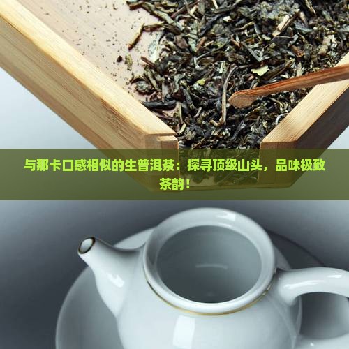 与那卡口感相似的生普洱茶