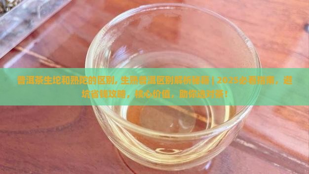 普洱茶生坨和熟陀的区别