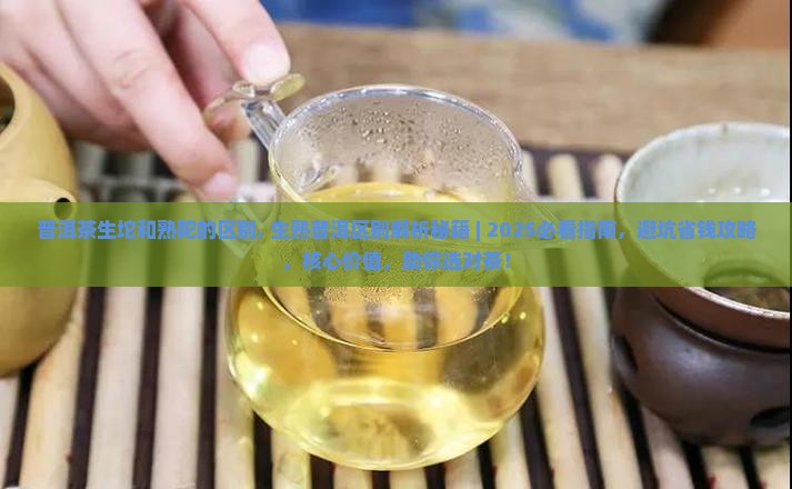 普洱茶生坨和熟陀的区别