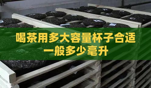 喝茶用多大容量杯子