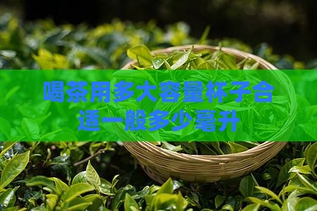 喝茶用多大容量杯子