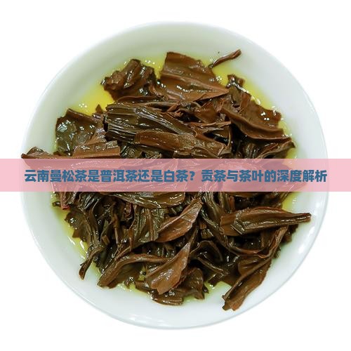 云南曼松茶是普洱茶吗还是白茶