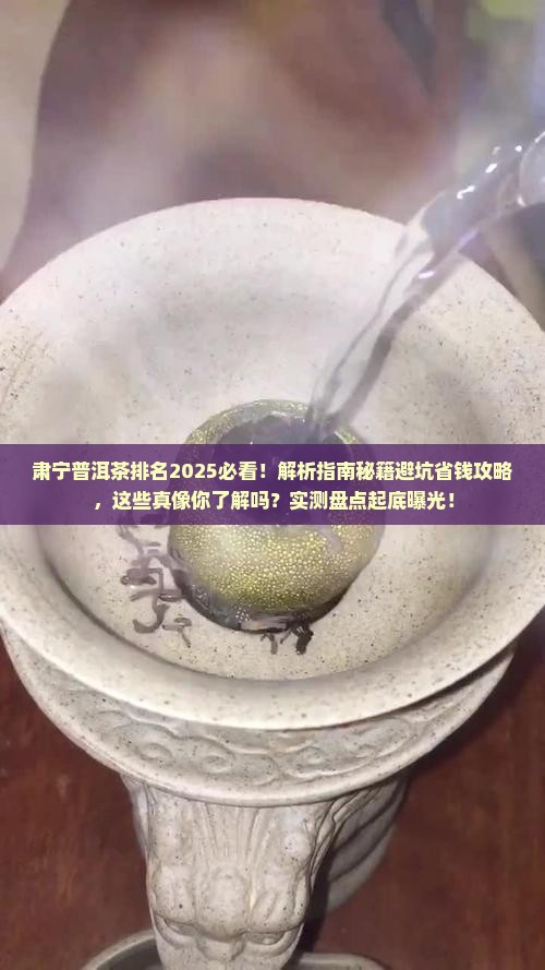 肃宁普洱茶排名 肃宁普洱茶排名