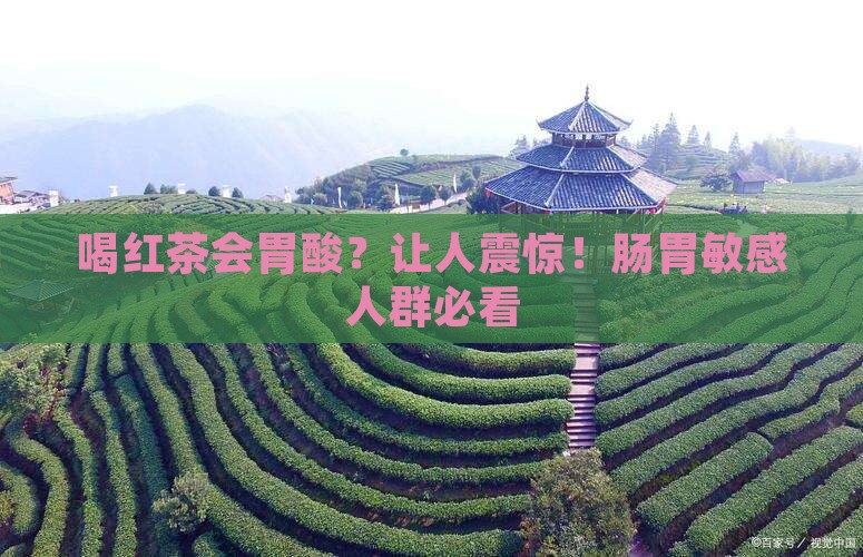 喝红茶会胃酸怎回事