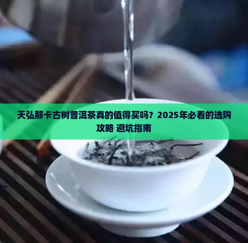 天弘那卡古树普洱茶