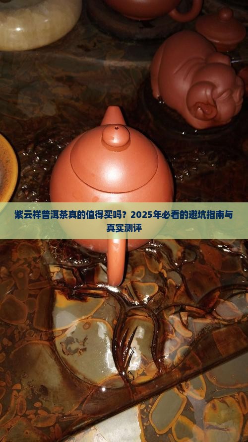 紫云祥普洱茶好不好