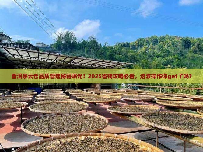 普洱茶云仓品质管理办法