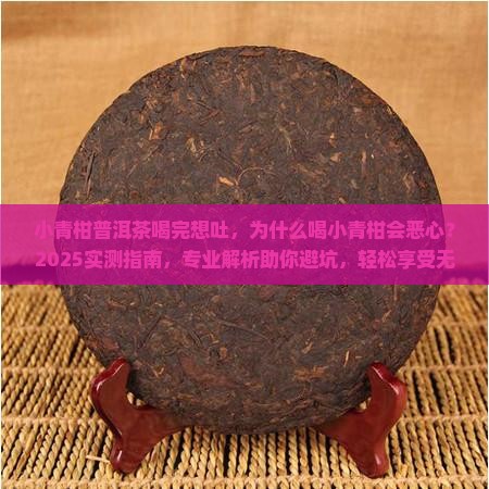 小青柑普洱茶喝完想吐 小青柑普洱茶喝完想吐