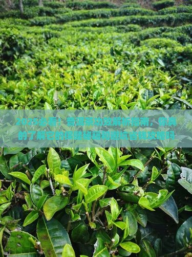 我要看下普洱茶的功效