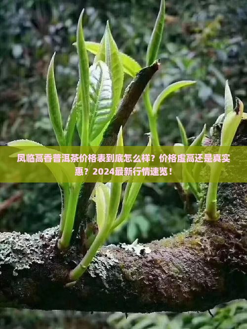 凤临高香普洱茶价格表