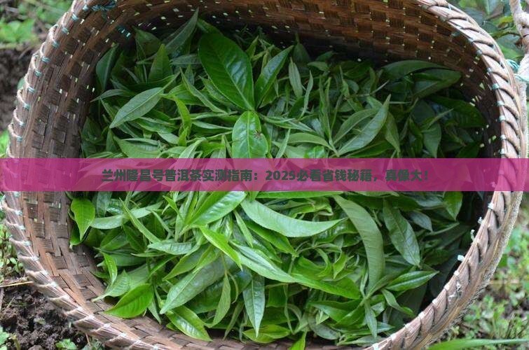 兰州隆昌号普洱茶