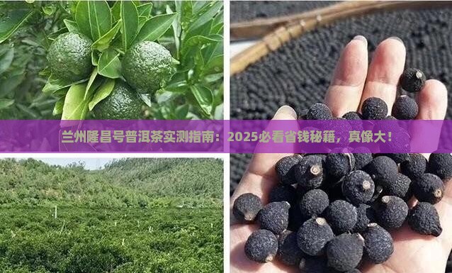 兰州隆昌号普洱茶