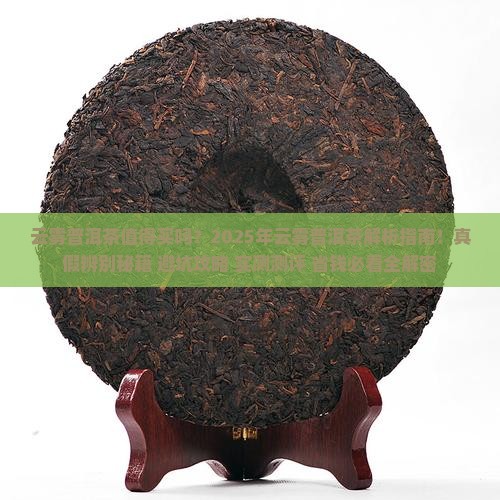 云雾普洱茶怎么样