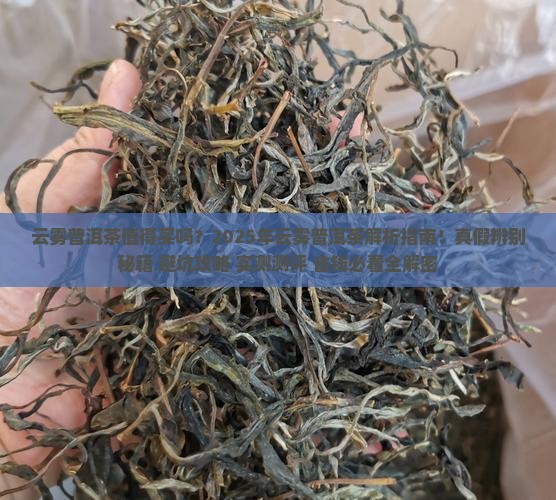 云雾普洱茶怎么样