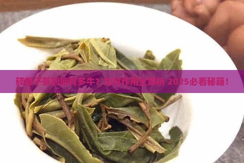 碎银子茶功效与作用