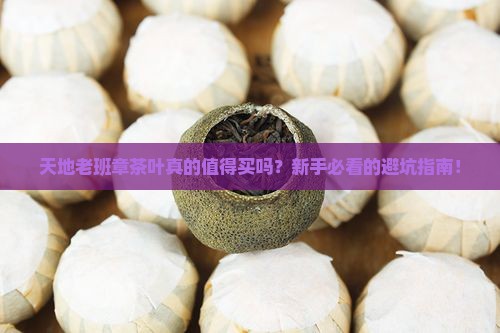 天地老班章茶叶