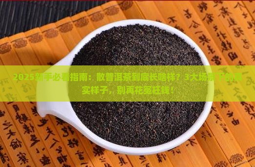 散普洱茶是什么样的