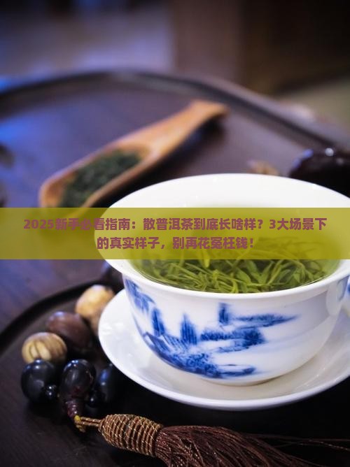 散普洱茶是什么样的