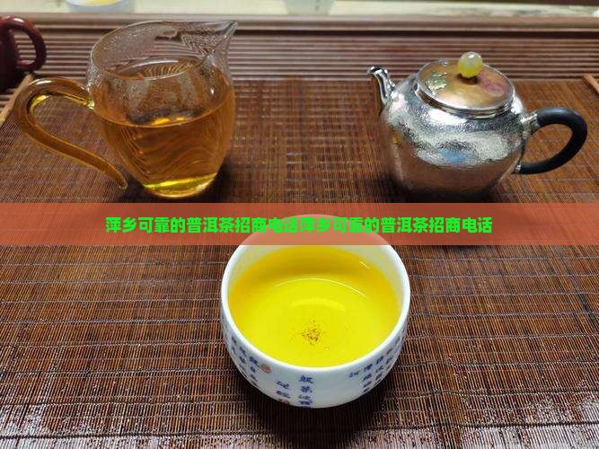 萍乡可靠的普洱茶招商电话