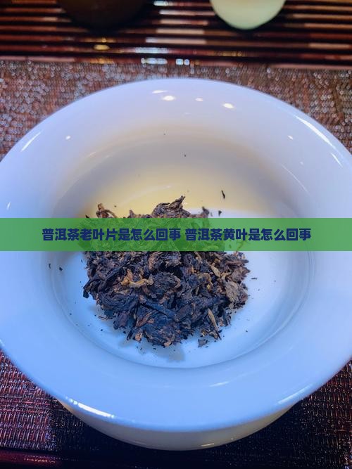 普洱茶老叶片是怎么回事