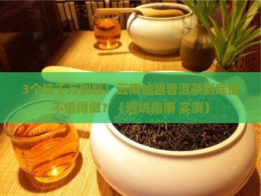 云南加盟普洱茶