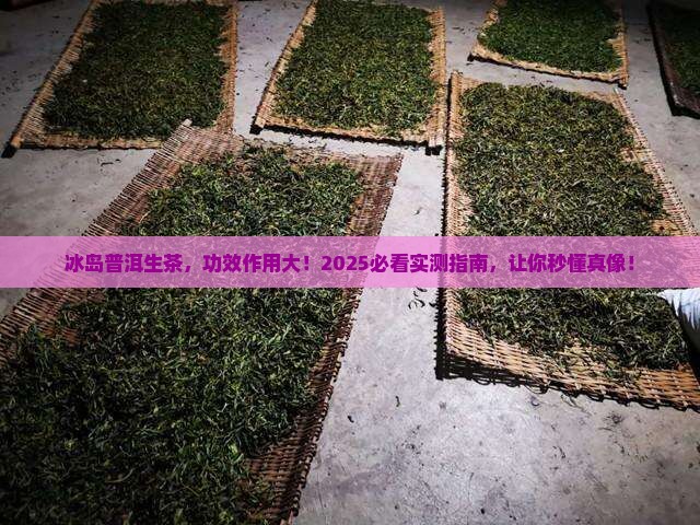 冰岛普洱生茶的功效和作用