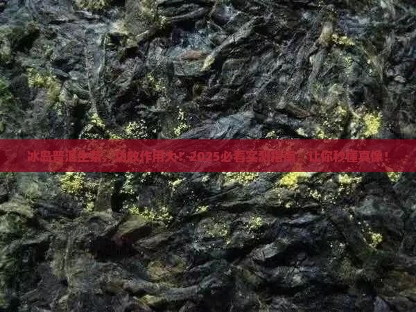 冰岛普洱生茶的功效和作用