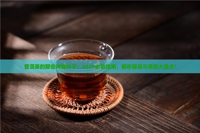 普洱茶的叶种有哪些