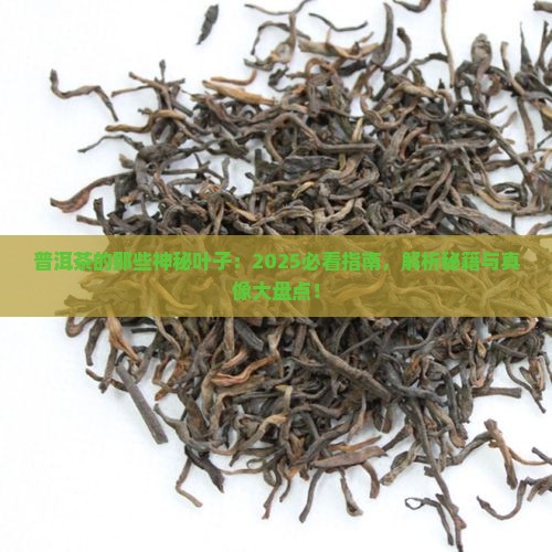 普洱茶的叶种有哪些