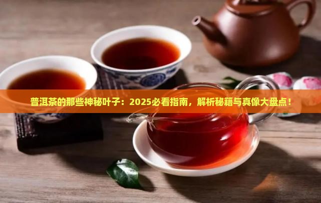 普洱茶的叶种有哪些