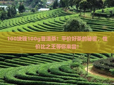 100块钱100g普洱茶