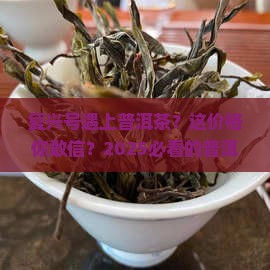 复兴号普洱茶多少钱