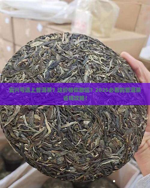 复兴号普洱茶多少钱