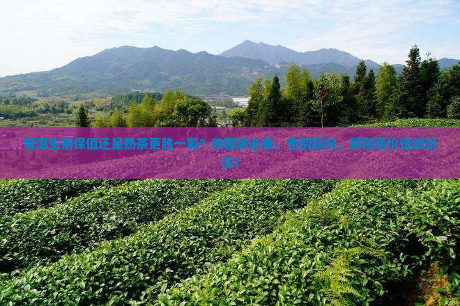 普洱生茶还是熟茶保值