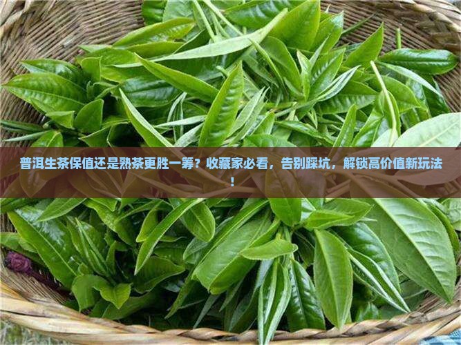 普洱生茶还是熟茶保值