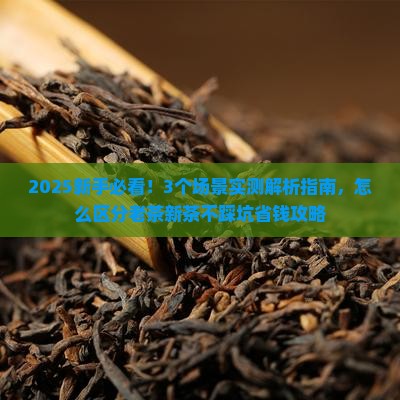 怎么区分老茶和新茶