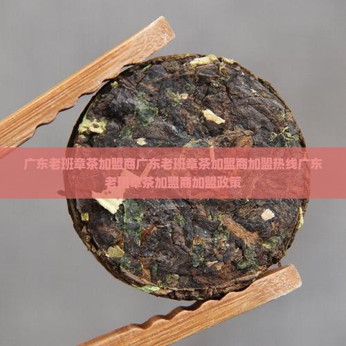 广东老班章茶加盟商