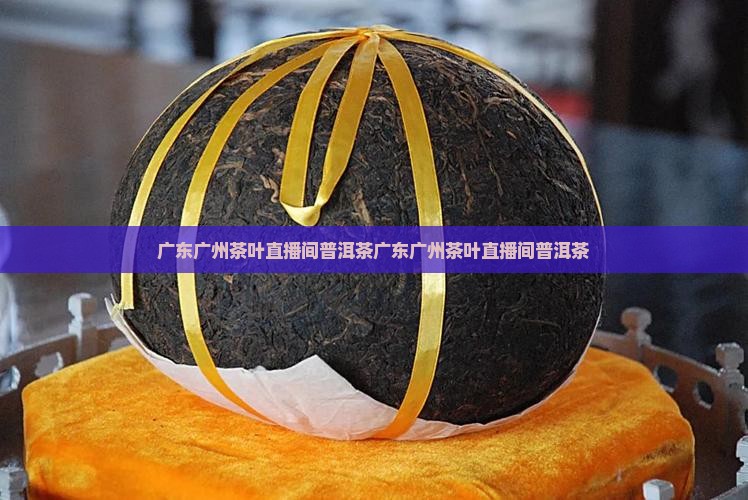 广东广州茶叶直播间普洱茶