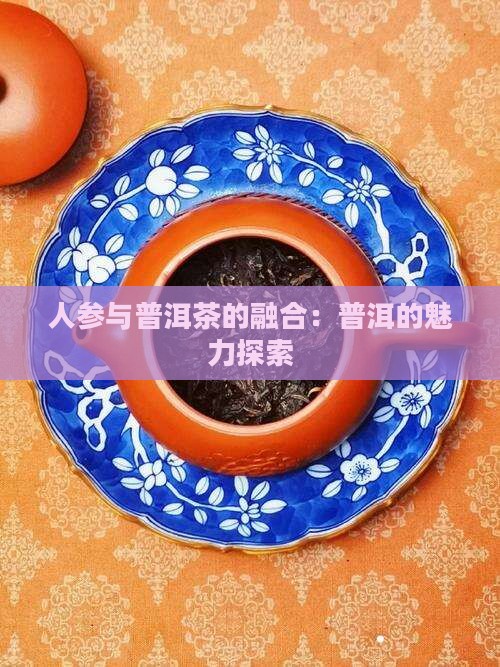熟普洱茶泡人参